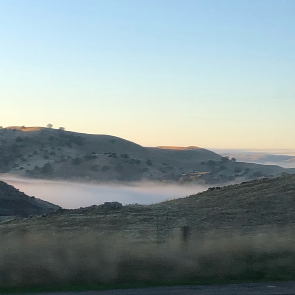 Meet your Posher, Skyler - Picture 1 of 1